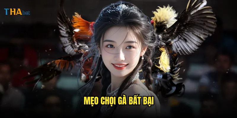 mẹo chọi gà bất bại