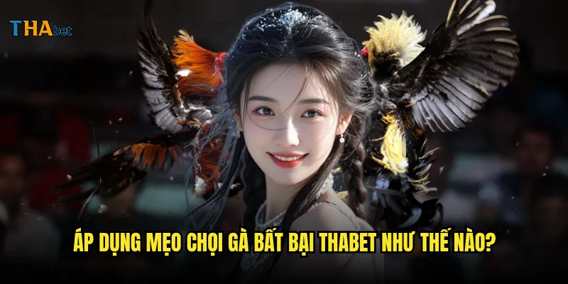 Mẹo chọi gà bất bại tại thabet có thật sự hiệu quả? 3 Áp dụng mẹo chọi gà bất bại thabet như thế nào?