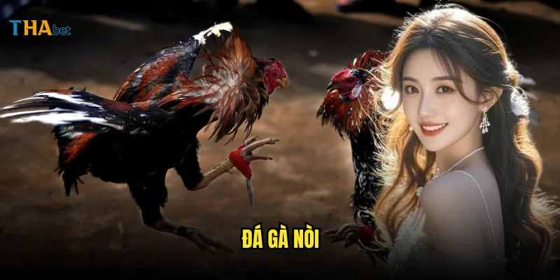 Đá gà nòi