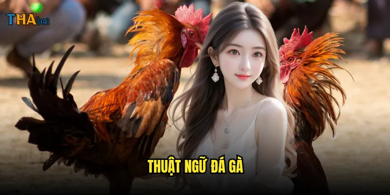 Thuật ngữ đá gà