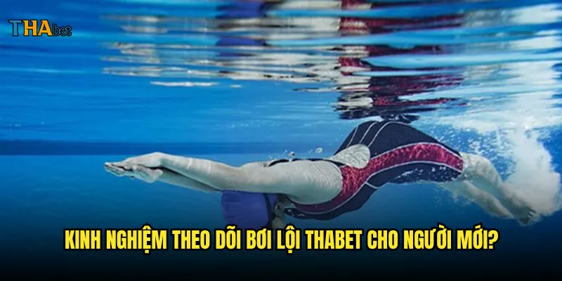 Bơi lội tại thabet có những môn nào thu hút nhất? 3 Kinh nghiệm theo dõi bơi lội thabet cho người mới?
