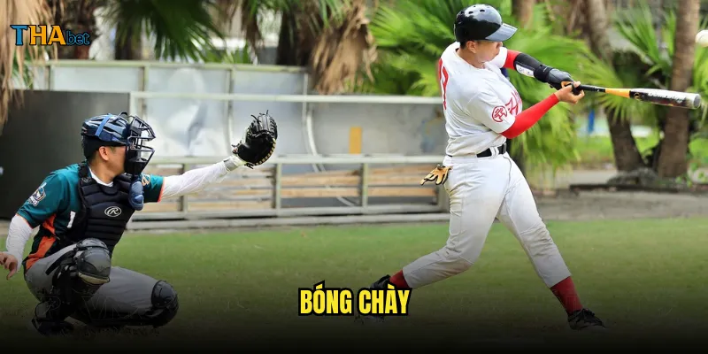 bóng chày