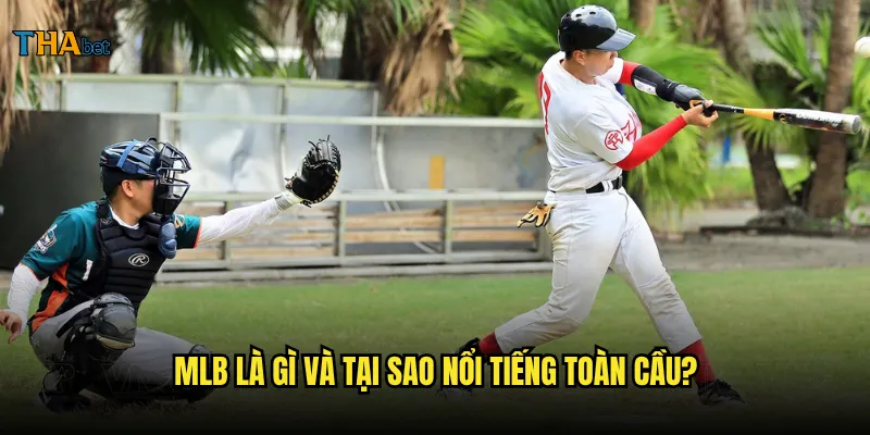 Bóng chày tại thabet có những giải đấu hấp dẫn nào? 2 MLB là gì và tại sao nổi tiếng toàn cầu?