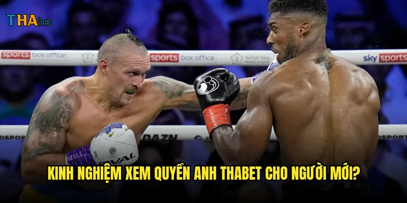 Quyền anh tại thabet có những trận đấu kinh điển nào? 3 Kinh nghiệm xem quyền anh thabet cho người mới?