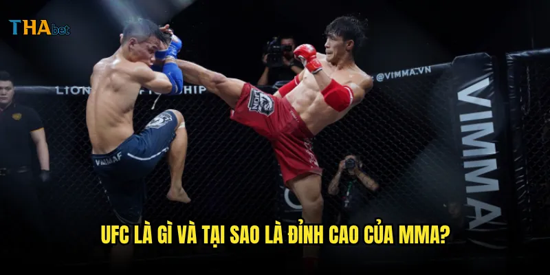 MMA tại nền tảng thabet có những giải đấu nào đáng xem? 2 UFC là gì và tại sao là đỉnh cao của MMA?