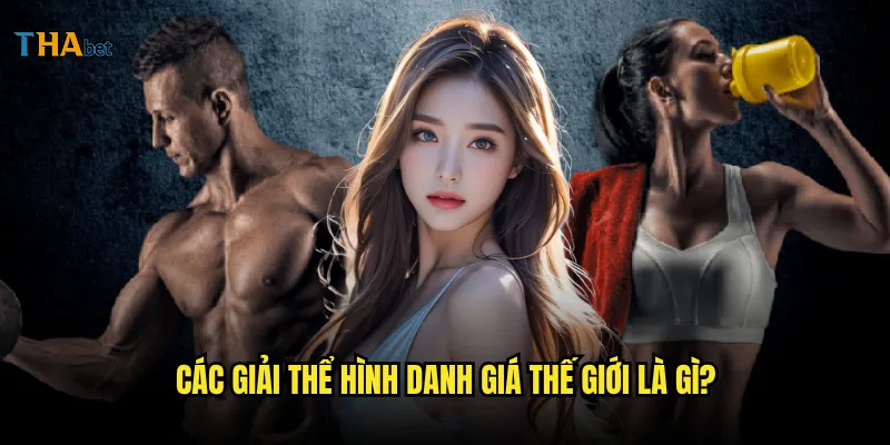 Thể hình tại thabet có những giải đấu nào được yêu thích? 2 Các giải thể hình danh giá thế giới là gì?