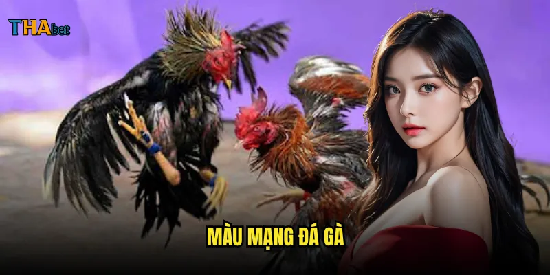 màu mạng đá gà