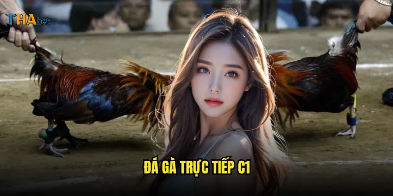 đá gà trực tiếp C1